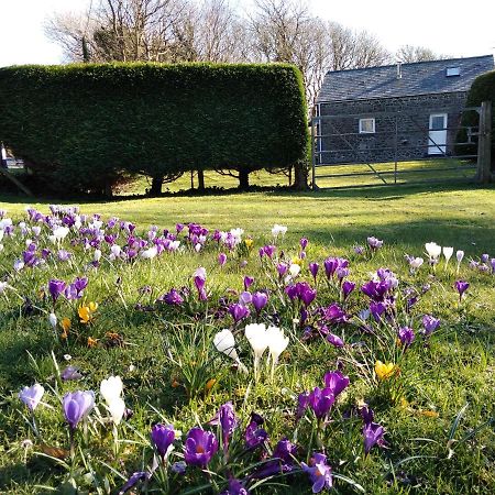 Villa Ty R Pwmp Haverfordwest Exterior foto